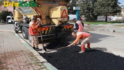 Haliliye'de Yolların Onarımı İçin Sıcak Asfalt Döküm Çalışmaları Başladı