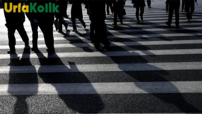 TÜİK verilerine göre 2024'te işsizlik, Şanlıurfa'da azaldı.