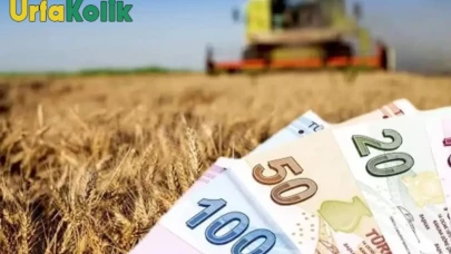 Cumhurbaşkanı Erdoğan, Tarıma Destek Veriyor: Çiftçilere 37 Milyar Liralık Hibe Desteği Müjdesi
