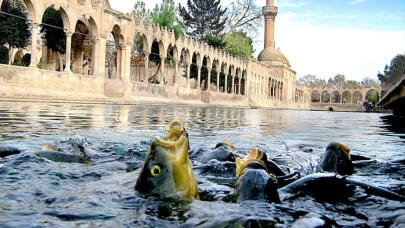 Balıklıgöl’de Yaşandığı Söylenen Mucizeler