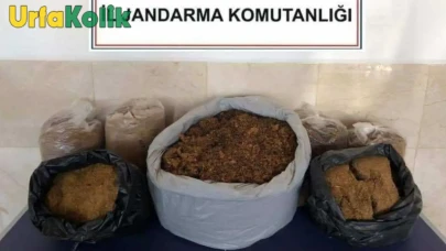 Siverek ve Viranşehir'de Kaçak Silahlar Ele Geçirildi: İlginç Operasyon