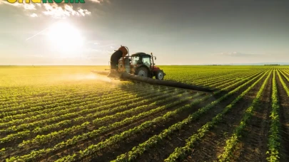 2025 Yılı İçin Tarım Ürünlerinin Girdi Maliyetleri Belirlendi