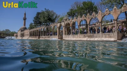 Balıklıgöl çevresinde yaşanan skandal görüntüler şaşırtmaya devam ediyor!