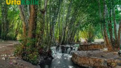 Şanlıurfa’nın En İyi Piknik Alanları