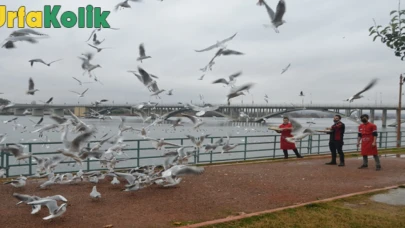 Şanlıurfa’nın En İyi Kuş Gözlem Noktaları