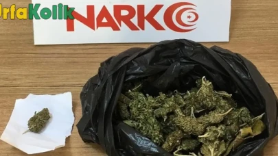 Bakanın Açıklamasına Göre Zehir Ticaretine Önemli Darbe Vuruldu!