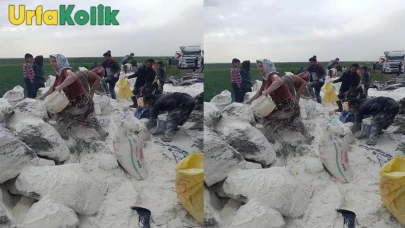 Siverek'te un taşıyan tır devrildi: İnsanlar unları toplamak için birbiriyle yarıştı