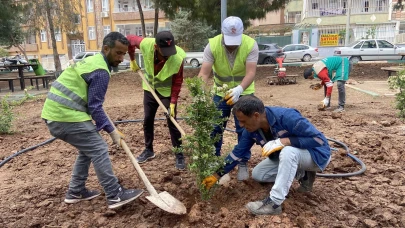 Haliliye Belediyesi Mevsimsel Çalışmalarla Yeşile Hayat Veriyor