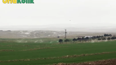 Elektrik Hırsızlığı Yapan Çiftçiler, Yağmurdan Zarar Görmediler