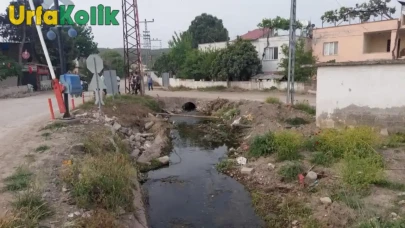 Osmaniye'de yaşanan trajik olay: Anne ve kızı hayatını kaybetti