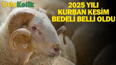 2025 Yılı Kurban Kesim Bedeli Belli Oldu: İşte Detaylar!