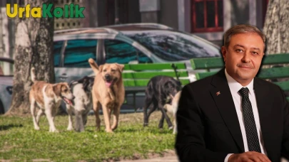 Vali Şıldak, 10 belediyeye sert uyarıda bulundu! Kesin tarih belirlendi.