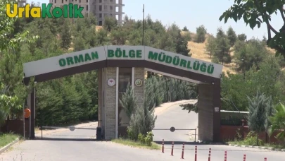 Şanlıurfa'da Orman Envanterinde Dev Operasyon: 206 Farklı Noktada Eş Zamanlı Çalışma Gerçekleştirildi