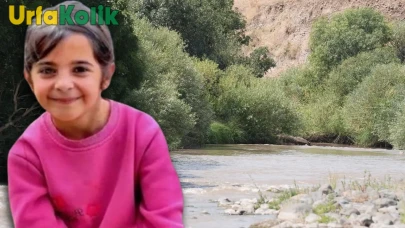Narin Güran davasında yeni gelişme: Yarın 12 sanık ve 3 çocuk hakim karşısında!