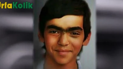 Berkin Elvan Kimdir? h