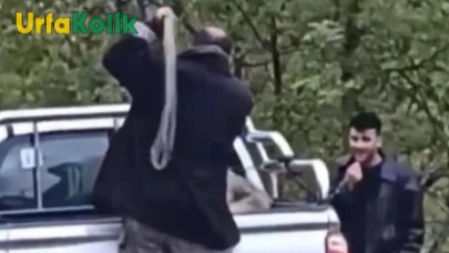Trabzon'da köpeğe işkence eden şahıs jandarma tarafından yakalandı.