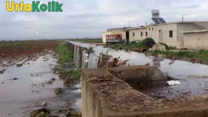Şanlıurfa'da Tarım Alanlarının Betonlaşması Eleştirisi: ''Toprakları eski haline getirecek misiniz?''