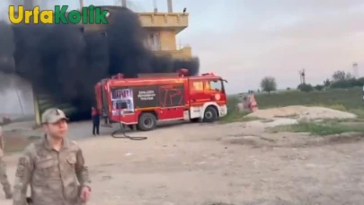 Dostluk, Eskiden Husumete Dönüştü!