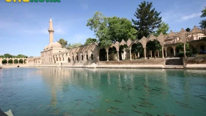 Balıklıgöl'ün Gizemini Çözen Şaşırtıcı Bilimsel Bulgular