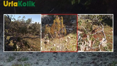 Don Felaketi: Tarım Alanlarında Büyük Hasar Meydana Geldi
