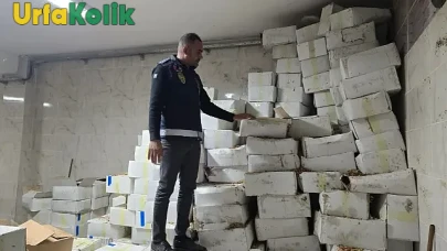 Şanlıurfa'da Baklava İmalatçısının Deposunda Bozuk Ceviz Skandalı!