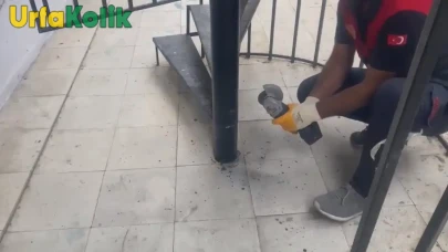 Haliliye'de sıkışan yavru kırlangıç itfaiye tarafından kurtarıldı.