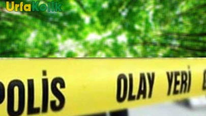 Şanlıurfa'da Dehşet Verici Bir Olay: Ormanlık Alanda Bir Kişi Ölü Bulundu