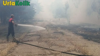 Şanlıurfa'nın Bozova ilçesindeki Orman Yangını Hızla Söndürüldü