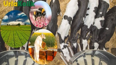 5.1 milyar liralık destekleme ödemesi birçok vatandaşın hesabına yatırılıyor.