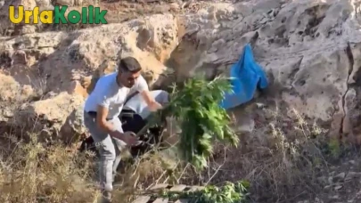 Şanlıurfa'da Mağarada Uyuşturucu Operasyonu