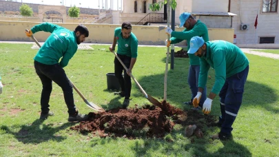 Haliliye Belediyesi Yeşil Alan Çalışmalarıyla Yaşam Kalitesini Artırıyor