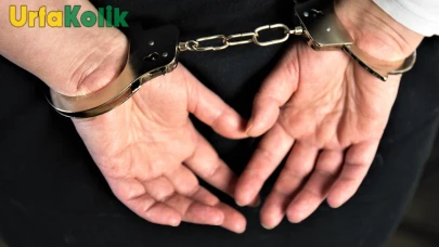Şırnak'ta kaçakçılık operasyonunda 1 şüpheli gözaltına alındı