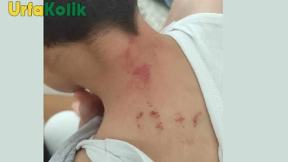 Şanlıurfa'da Ortaokulda Yaşanan Şiddet Olayı: Öğretmen Tutuklandı