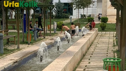 Şanlıurfa'da Endişe Veren Durum: Süs Havuzunda Yüzen Çocuklar Hayatlarıyla Oynuyor