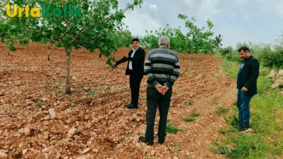 Bozova'da Meydana Gelen Zirai Don Felaketi Fıstık Üreticilerini Vurdu