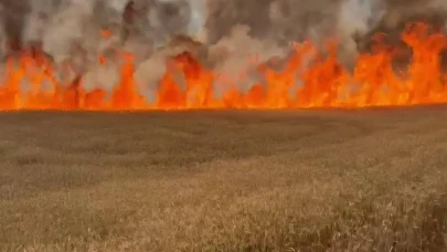 Siverek’te Buğday Ekili Arazi Yandı