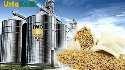 (TMO) 2025 yılı için hububat alım fiyatlarını belirledi. TMO'nun açıklamasına göre, buğday üreticilerine ton başına 16 bin TL'ye kadar ödeme yapılacak.