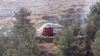 Şanlıurfa Ormanlarıyla İlgili Önemli Kararlar Alındı