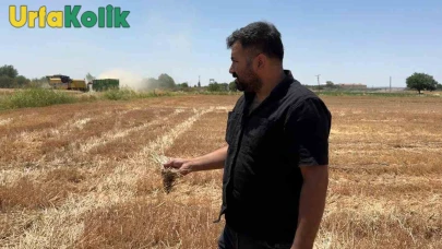Suruç'ta Anız Yakımı Çevre ve Toprak Verimini Olumsuz Etkiliyor