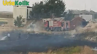 Şanlıurfa'da Ardı Ardına Çıkan Yangınlar Orman Ve Tarım Alanlarına Zarar Verdi.