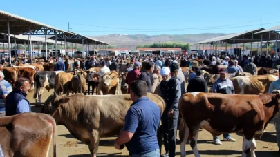 Türkiye'de Şap Hastalığıyla Mücadele İçin Seferberlik Başlatıldı
