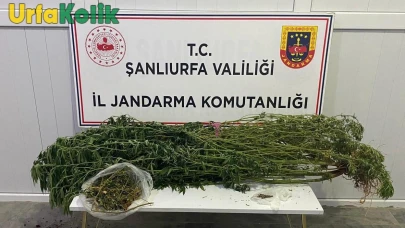 Şanlıurfa’da Jandarmadan Uyuşturucu Operasyonu