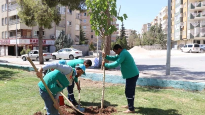Haliliye’de Ağaçlandırma Seferberliği Devam Ediyor