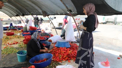 Mevsimlik İşçilere Sağlık Molası
