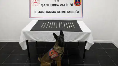 Harran’da Uyuşturucu Operasyonu: 664 Adet Captagon Ele Geçirildi