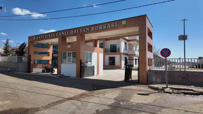 Canlı Hayvan Borsası’na Elektronik Baskül Kuruldu