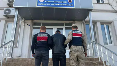 Şanlıurfa’da Aranan Hükümlü Yakalandı