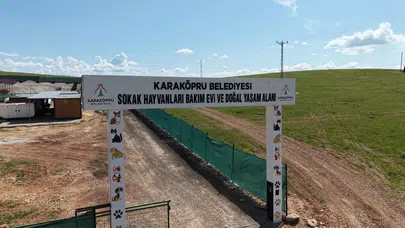 Karaköprü’de Sokak Hayvanlarının Doğal Yaşam Alanı Güçlendiriliyor