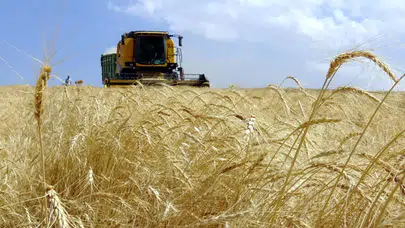 Vali Şıldak'tan Tarım Arazilerinin Korunmasına Yönelik Yeni Talimat