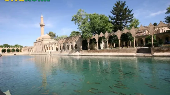 Balıklıgöl'ün Gizemini Çözen Şaşırtıcı Bilimsel Bulgular
